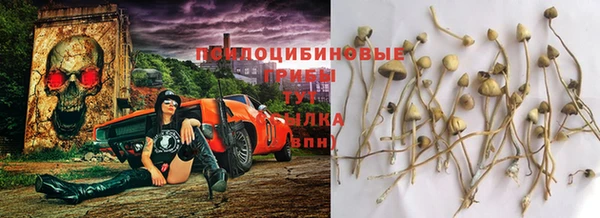 героин Аркадак