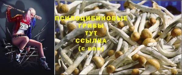 ешки Арсеньев