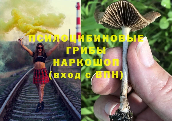 ешки Арсеньев
